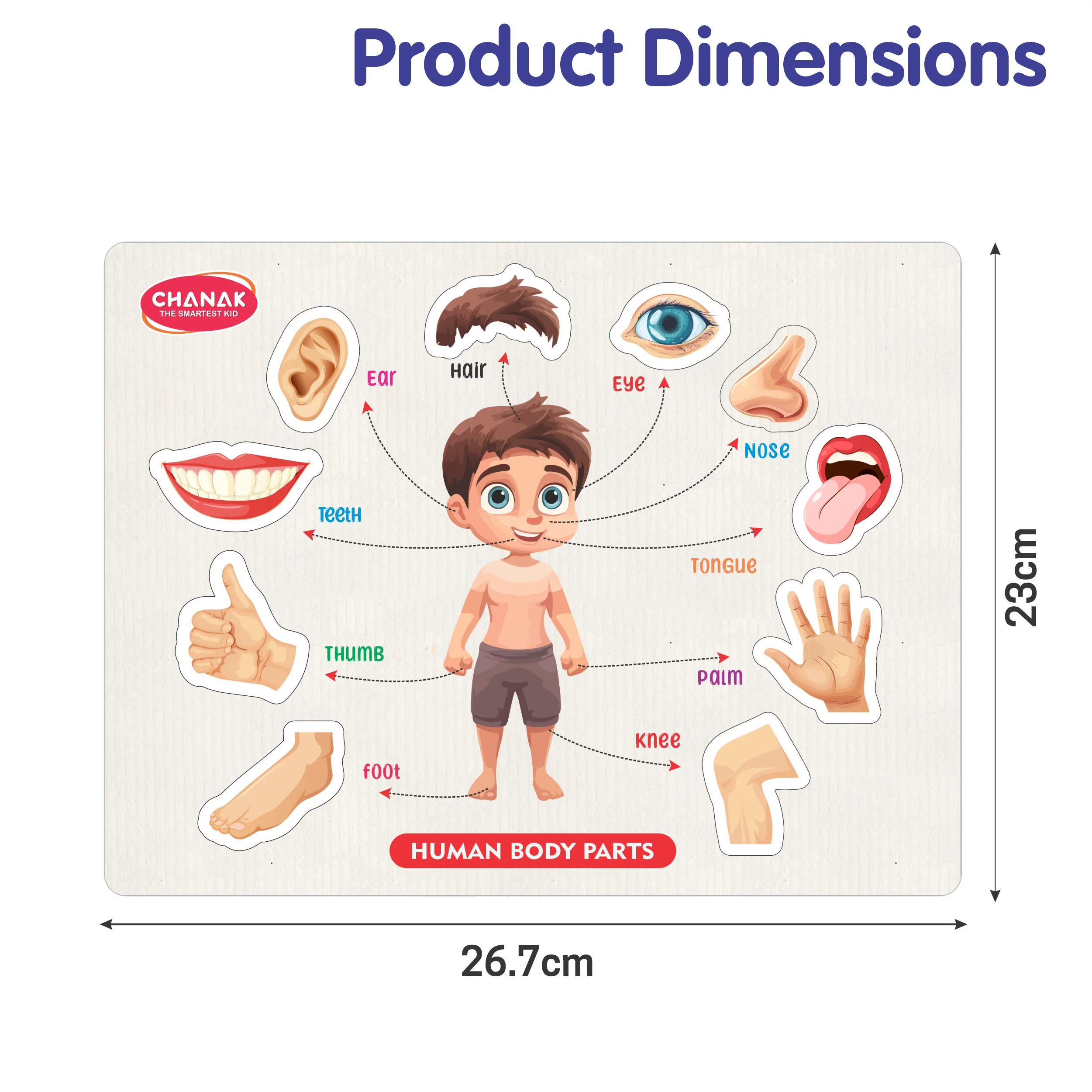 Chanak 4-in-1 Montessori Learning Set – Wooden Puzzle Combo for Kids - Image 3